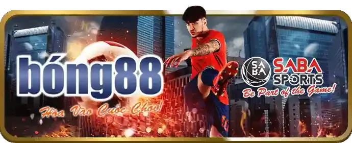 Cam kết công bằng và trách nhiệm